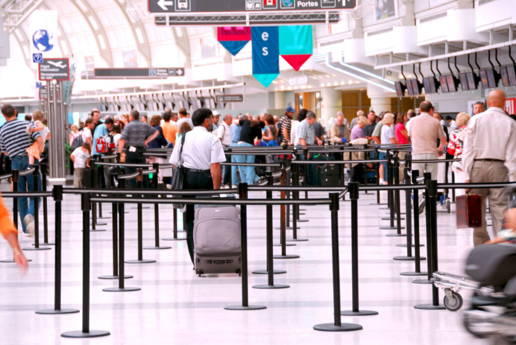 13 of the Most Populous Animals on Earth 6 Passengers queue at a modern airport check-in counter, surrounded by digital displays and sleek architecture.