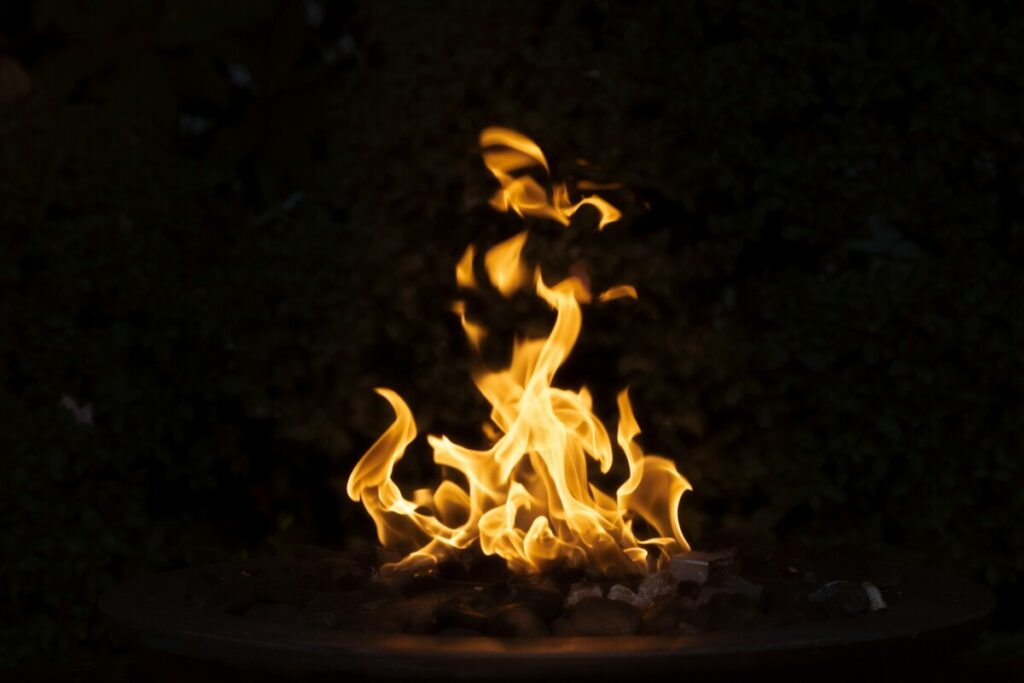 What is Biomass Energy: Pros & Cons of this Resource 5 Burning Fire Combustion