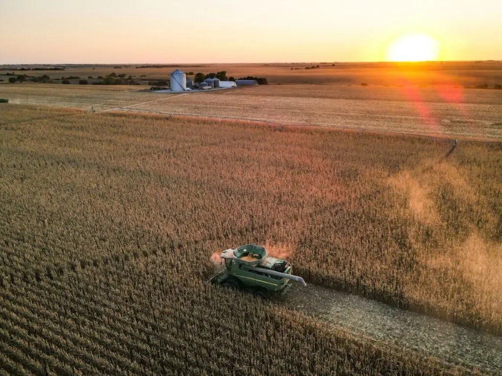 Is Corn Bad for the Environment? 17 Tractor harvesting corn on a corn field