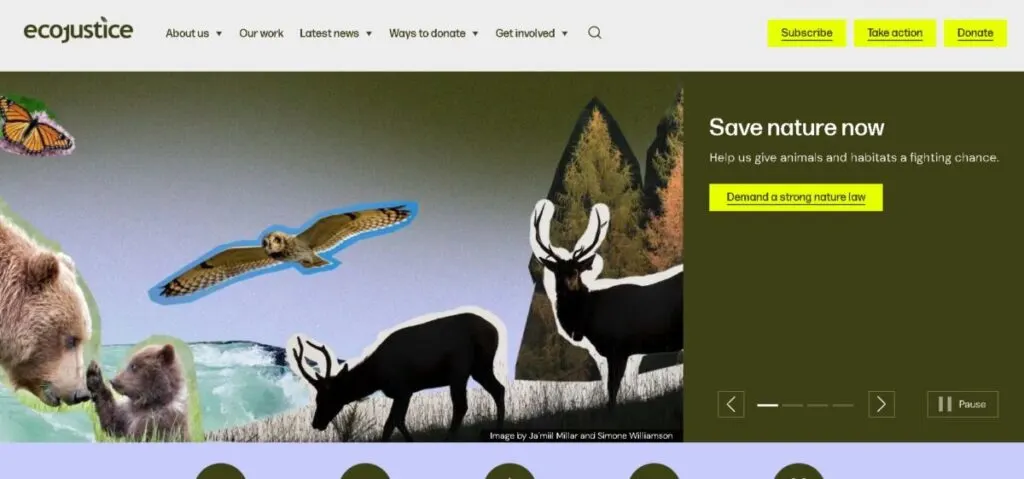 7 Environmental Organizations in Canada 7 Ecojustice Canada Landing Page