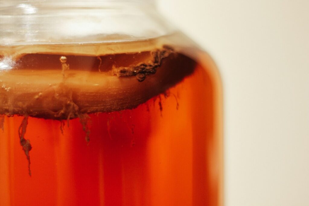What is Biomass Energy: Pros & Cons of this Resource 8 Fermentating in glass