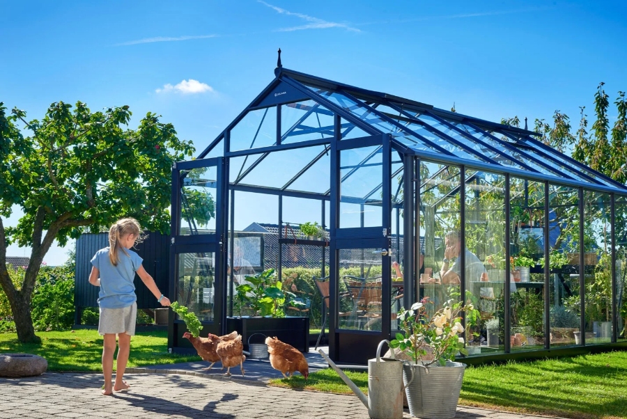 16 Best Lean-To Greenhouses for Small Yards & Side Walls 9 Inside a Gabriel Ash Classic Lean-To greenhouse, a man strolls with chickens among lush greenery and bright sunlight.