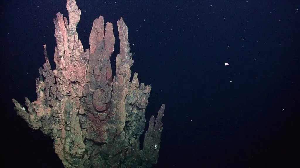 Inactive hydrothermal vents in Galapagos Rift