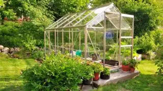Garden center greenhouse with a colorful display of potted plants and flowers