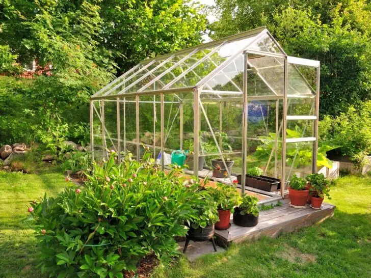 9 Essential Greenhouse Growing Strategies for Continuous Harvests Year-Round 16 Garden center greenhouse with a colorful display of potted plants and flowers