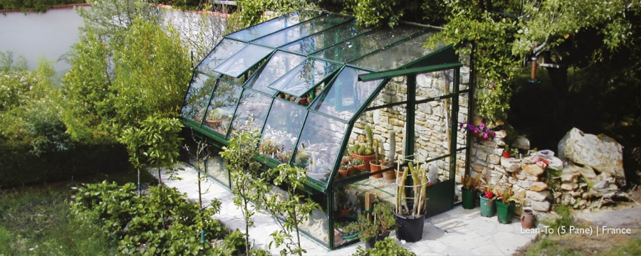 16 Best Lean-To Greenhouses for Small Yards & Side Walls 7 Interior view of a lean-to greenhouse, featuring lush plants and blooming flowers, creating a lively botanical space.