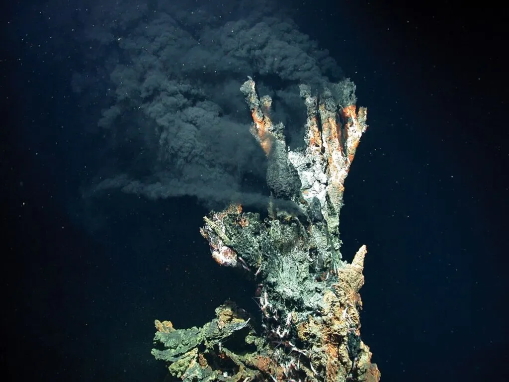 Hydrothermal Vents: The Mysteries of the Ocean's Powerful Underwater Fountains 2 Hydrothermal Vent Loo Close-up
