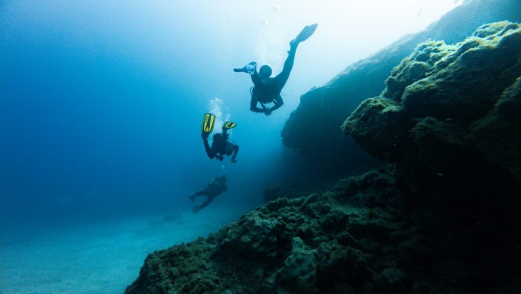 Marine Conservation Diving Tourism Guide 2026 14 Scuba diver descending in blue water above a reef