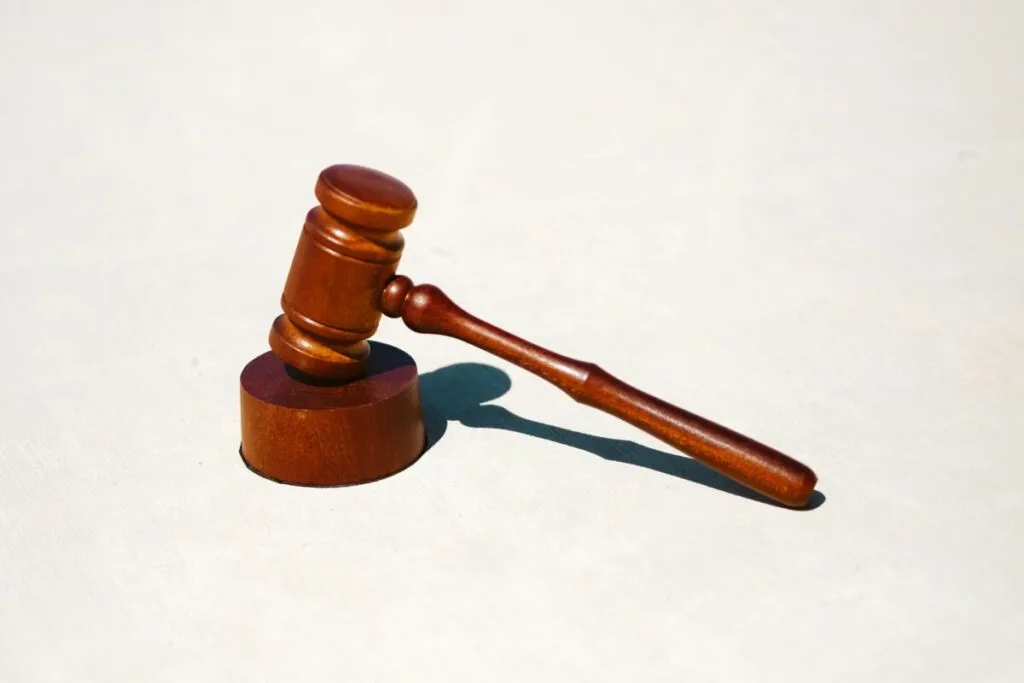 Is Ice Melt Bad for the Environment? 8 Judge wooden mullet for law