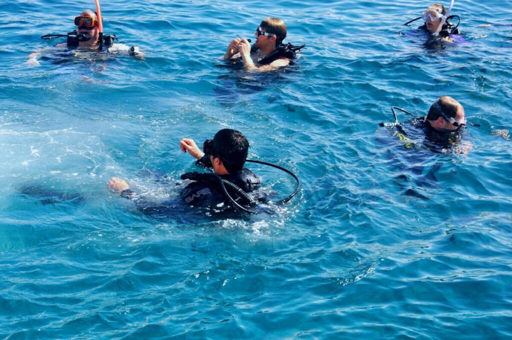 Marine Conservation Diving Tourism Guide 2026 2 Scuba diver exploring a coral reef near a coastal community