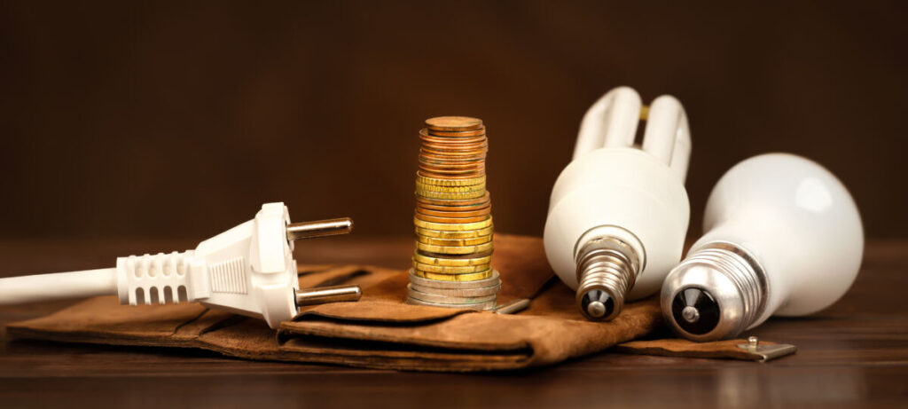 Do Energy-Efficient Light Bulbs Give Off Radiation? 2 Electrical plug, light bulbs, wallet, and euro coins symbolize energy savings and efficiency in a financial context.