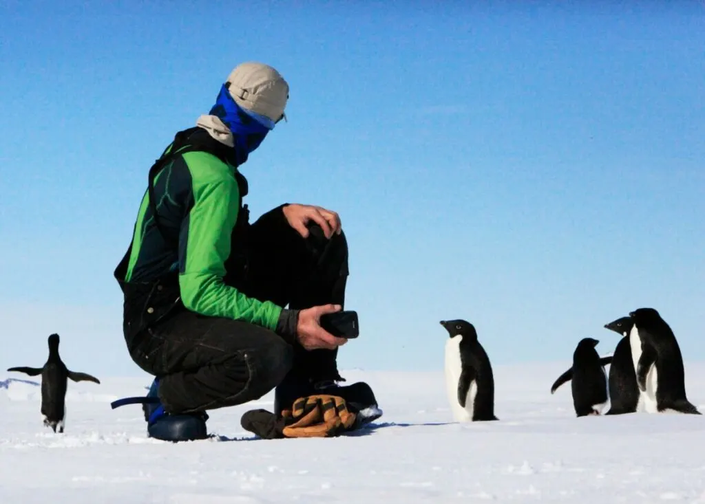 The Surprising Ways Penguins Can Be Dangerous to Humans 1 Man near a group of penguins