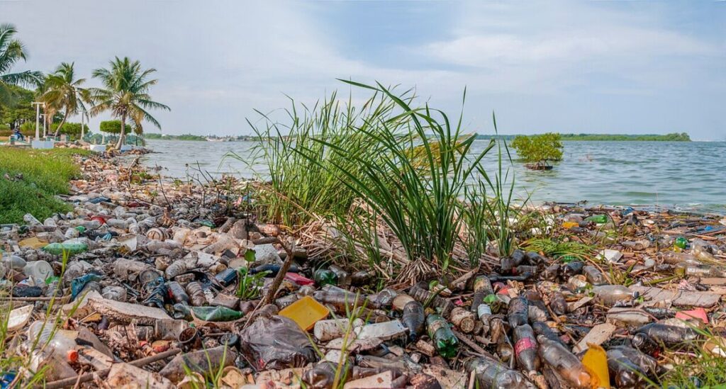 4 Types of Water Pollution: Sources, Effects, and Examples 18 Plastic debris floats on the surface of Maracaibo Lake, highlighting severe pollution and environmental degradation.