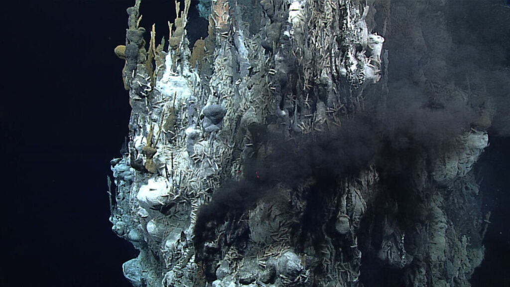 Hydrothermal Vent in Mariana Trench 