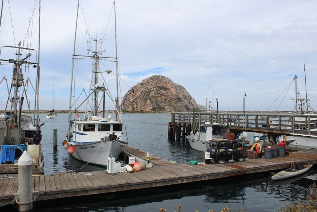 10 Marine Conservation Success Stories That Show What Works 6 Several boats are tied up at a dock in Morro Bay, California, surrounded by serene water and a picturesque landscape.