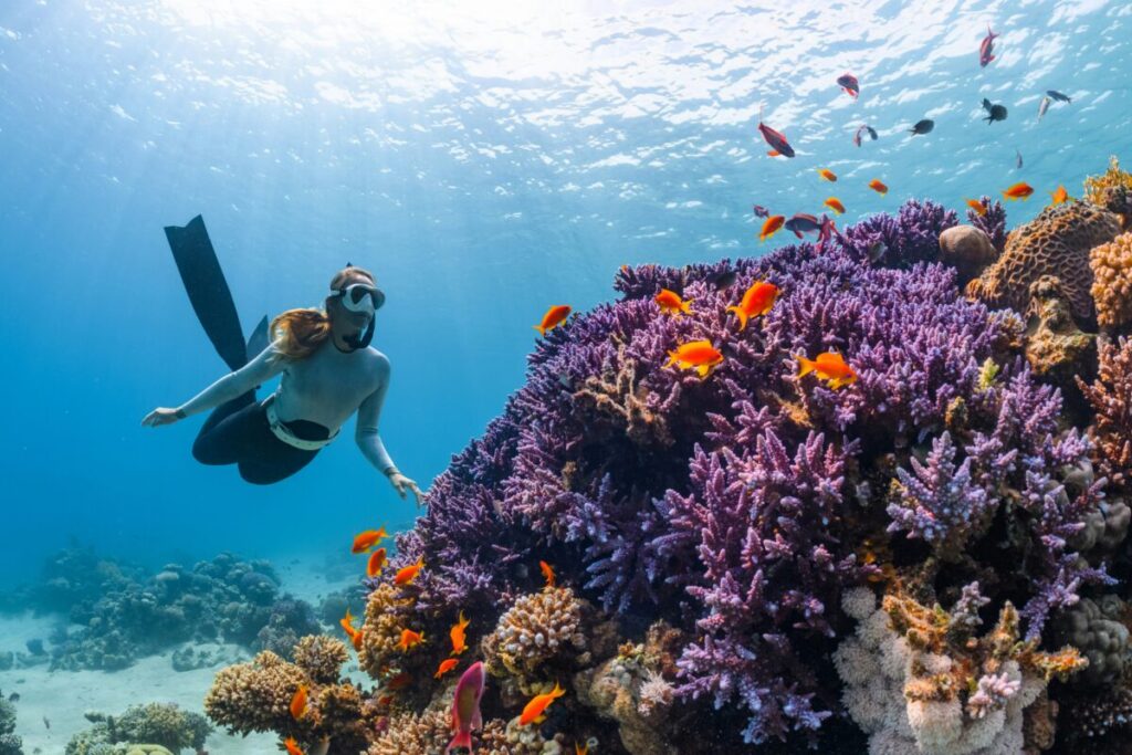Marine Conservation Diving Tourism Guide 2026 4 Scuba diver swimming above a coral reef
