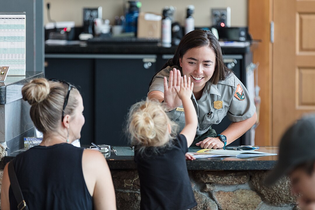 Are Deer Salt Licks Illegal? Understanding Wildlife Regulations and