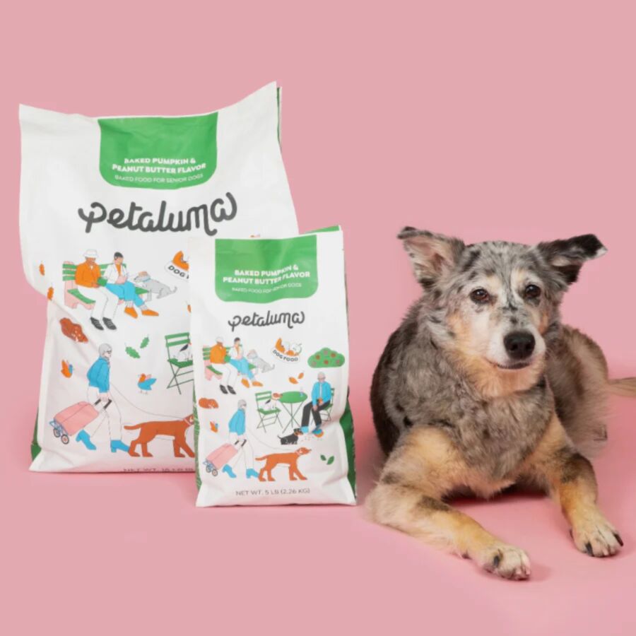 Dog poses next to a bag of Petaluma dog food, highlighting its pumpkin flavor.
