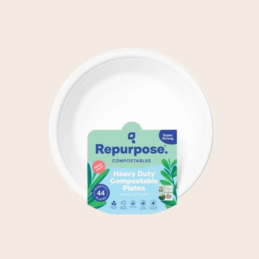 11 Best Compostable Plates for Parties and Everyday Meals 1 10-inch white dinner plate adorned with a green leaf, highlighting its compostable and environmentally friendly nature.