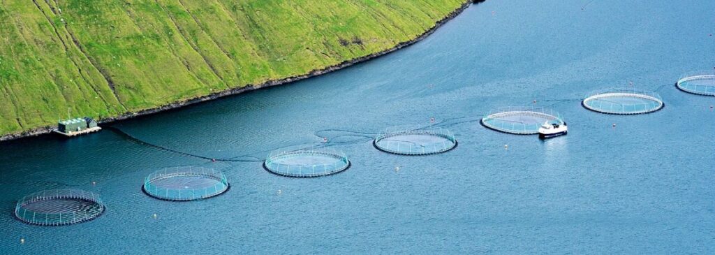 What Are the Effects of Overharvesting? 19 Aerial view of numerous fish cages floating in water, representing a salmon aquaculture facility.