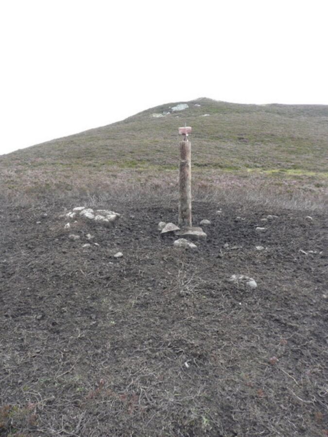 Are Deer Salt Licks Illegal? Understanding Wildlife Regulations and