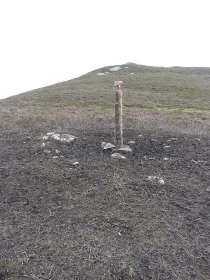 Are Deer Salt Licks Illegal? Understanding Wildlife Regulations and State Laws