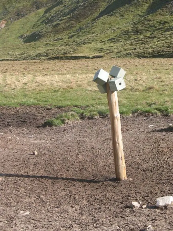Are Deer Salt Licks Illegal? Understanding Wildlife Regulations and
