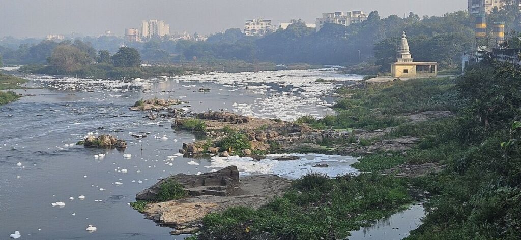 4 Types of Water Pollution: Sources, Effects, and Examples 7 Tranquil river populated by several swans gliding peacefully across the water.