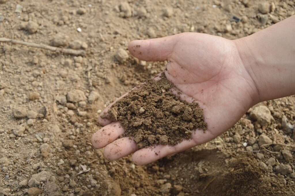 What is Biomass Energy: Pros & Cons of this Resource 24 Dry soil