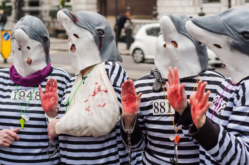 Taiji Dolphin Hunting 7 Taiji Dolphin anti-slaughter and anti-captivity protestors