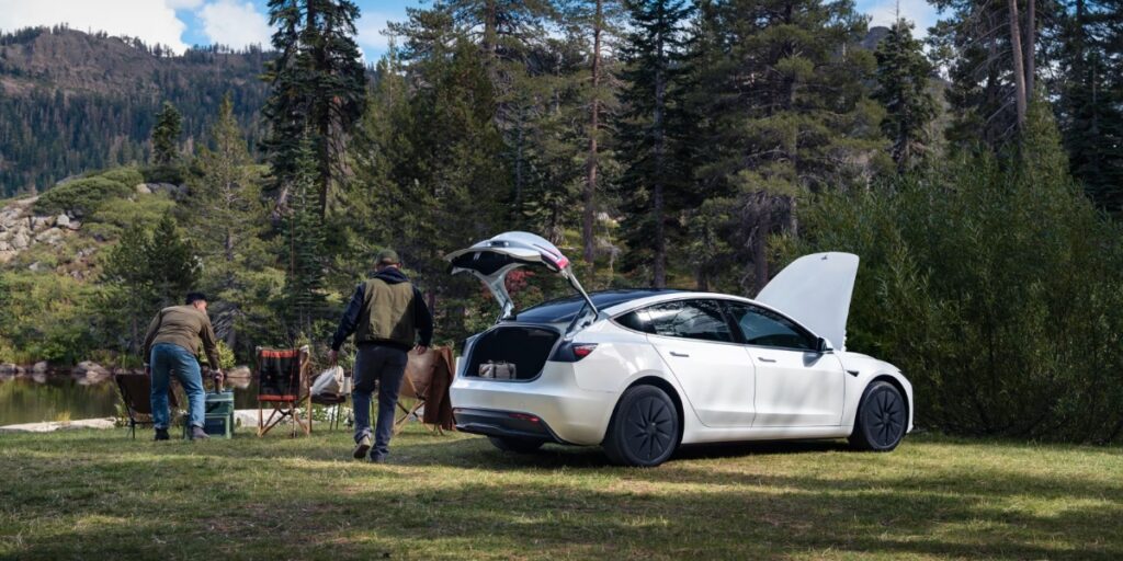 10 Most Eco-Friendly Cars for Different Lifestyles in 2026 6 Tesla Model 3 Standard RWD parked in a wooded area, showcasing its sleek design against a natural backdrop.