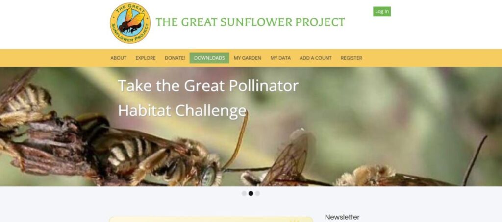 The Role of Pollinators: Why They Matter and How to Protect Them 30 Homepage of The Great Sunflower Project, featuring sunflowers and information on pollinator conservation efforts.