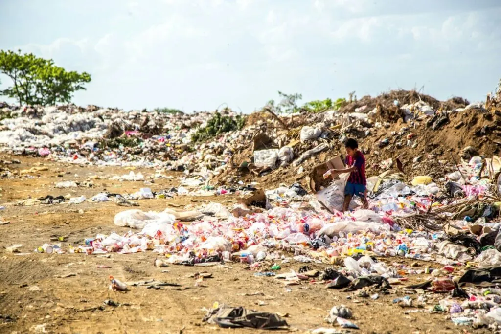 What is Biomass Energy: Pros & Cons of this Resource 12 Bulk of different waste