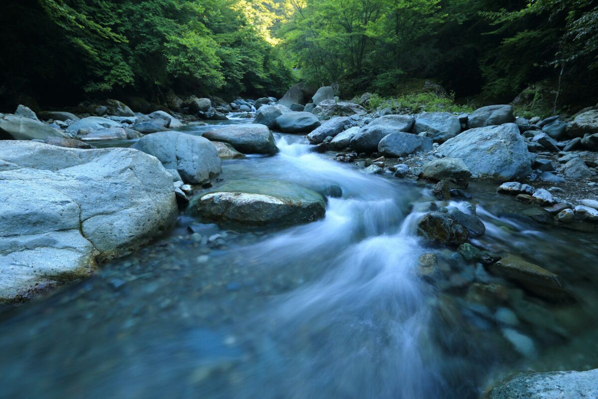Is Ice Melt Bad for the Environment? 15 Waterway surrounded by forest