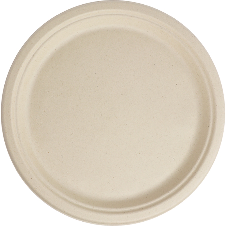 11 Best Compostable Plates for Parties and Everyday Meals 4 10-inch round plate in white, featuring a circular rim, crafted from sustainable fiber for environmentally conscious use.