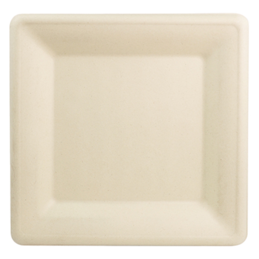 11 Best Compostable Plates for Parties and Everyday Meals 6 Eco-friendly 10-inch square plate crafted from fiber, suitable for various dining occasions.