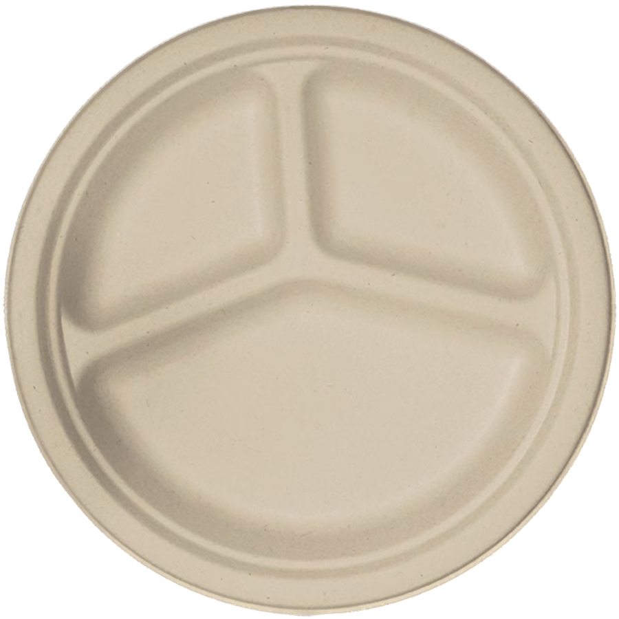 11 Best Compostable Plates for Parties and Everyday Meals 5 A 10-inch white plate featuring three separate compartments for food serving.